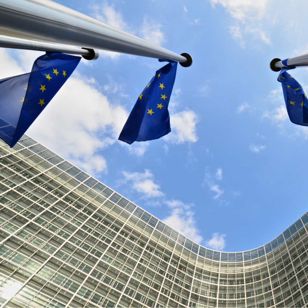 New Guidelines under the Foreign Subsidies Regulation (FSR) published by the European Commission