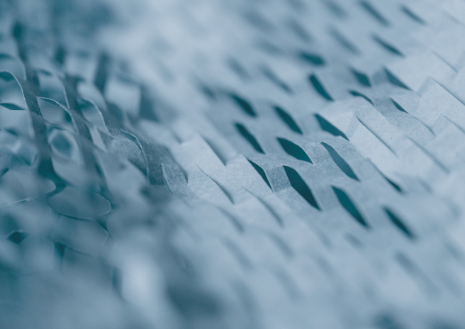 Sentenza della Corte di giustizia nella causa C-588/24, Imballaggi Piemontesi S.r.l. contro Autorità Garante della Concorrenza e del Mercato (AGCM)